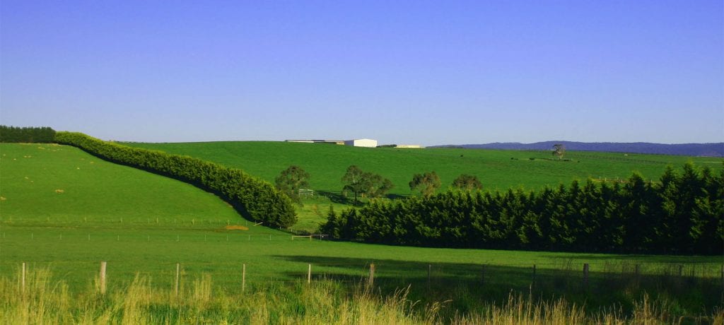 vicotrian country real estate auction