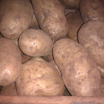 Potato farm land near Ballarat attracts top prices due to its rich red volcanic soil.