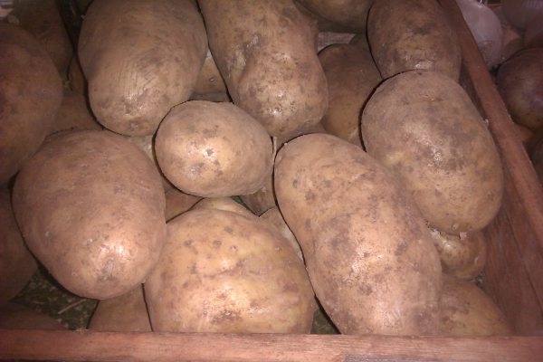 Potato farm land near Ballarat attracts top prices due to its rich red volcanic soil.