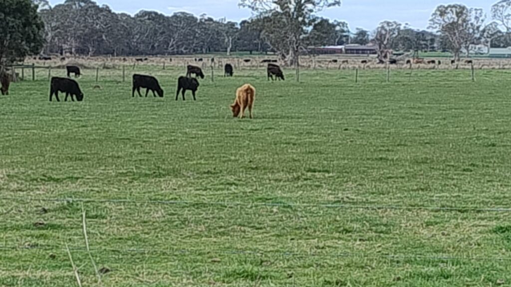 Per acre values for some farm real estate near urban growth corridors on Melbourne's south eastern suburban fringe have gone ballistic.