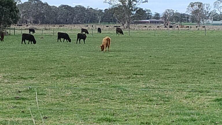 Per acre values for some farm real estate near urban growth corridors on Melbourne's south eastern suburban fringe have gone ballistic.