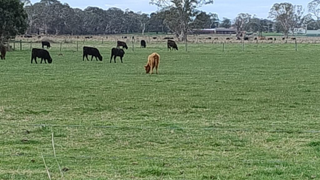 Per acre values for some farm real estate near urban growth corridors on Melbourne's south eastern suburban fringe have gone ballistic.